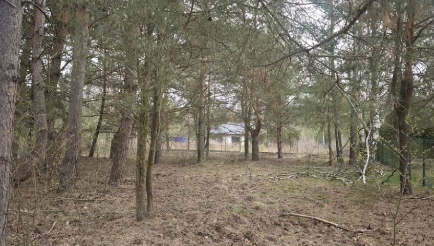 Działka Sprzedaż Wólka Kryształowa